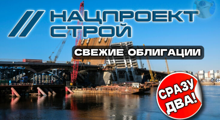 Облигации Нацпроектстрой Капитал 1Р1 [фикс] и 1Р2 [флоатер]
