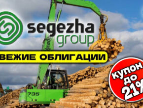 Новые облигации Сегежа 4Р01R. Доходность до 23% годовых на опилках!